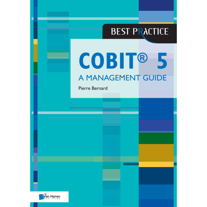 COBIT A Management Guide
